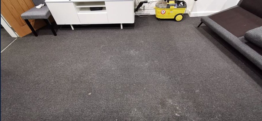 HMO living room carpet after the clean, fully restored